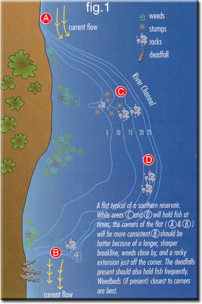 Musky Growth Chart