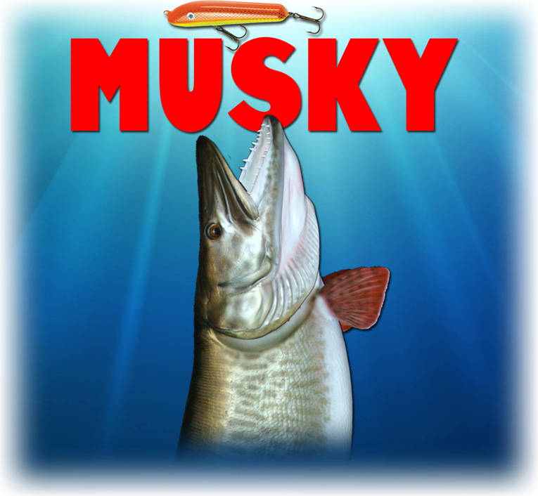 Musky Fishing T-shirts Mugs Gifts